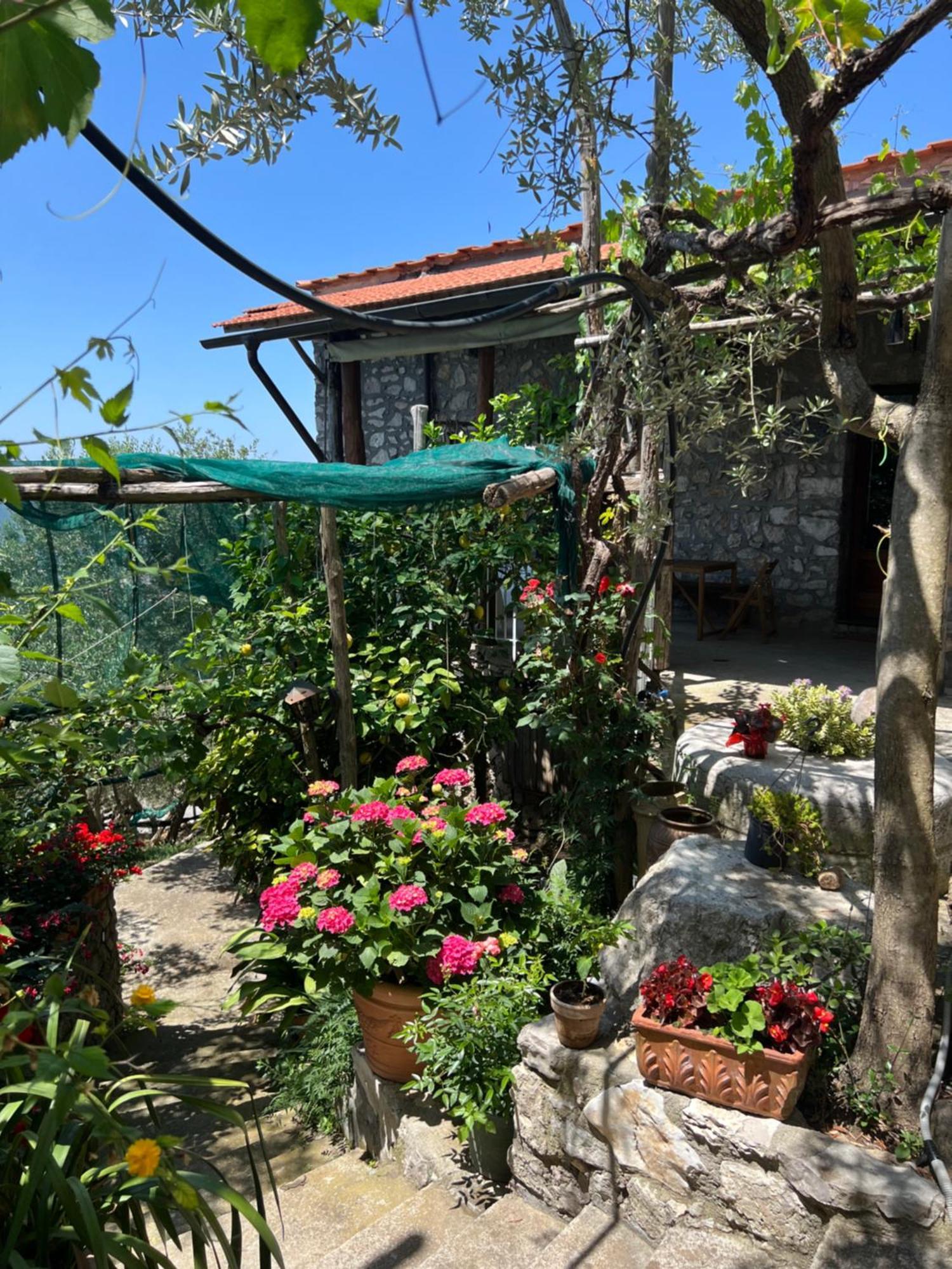 La Petra Villa Vico Equense Exterior foto